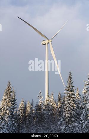 Il parco eolico di Askalen a Jamtland, Svezia. Foto: Johanna Hanno / TT / code 4854 Foto Stock