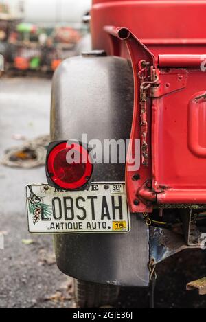 Stati Uniti d'America, Maine, Mt. Isola deserta, Bernard, antichi carrello con astice piastra di licenza Foto Stock