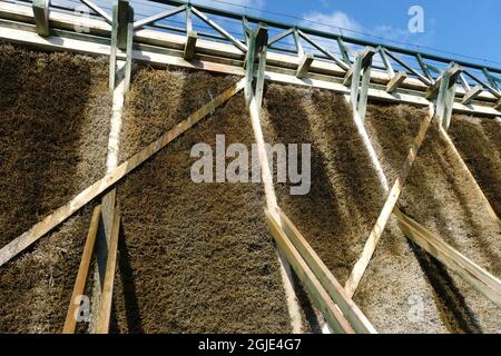 Goldap, Polonia - 18 luglio 2021: Goldap spa (Teznie w Goldapi). Estate giorno di sole Foto Stock