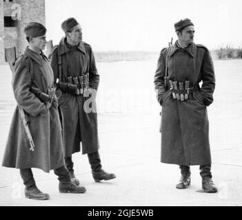 BUDAPEST 1956-11-01 la Rivoluzione Ungherese 1956. Combattenti e soldati della libertà a Budapest. Foto: Folke Hellberg / DN / TT code 23 Foto Stock