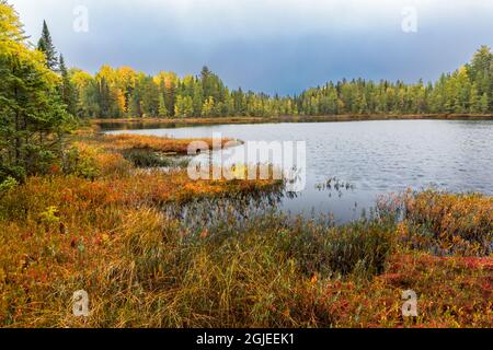 Litorale di piccolo stagno in autunno, Upper Peninsula del Michigan, Hiawatha National Forest Foto Stock