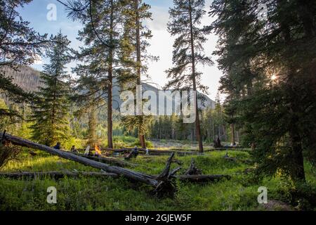 Appeso intorno al fuoco nel Bob Marshall Wilderness, Montana, USA Foto Stock