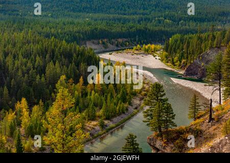 Il fiume South Fork Flathead nella Flathead National Forest, Montana, USA Foto Stock