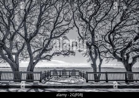 Riverfront, Southport, Carolina del Nord Foto Stock