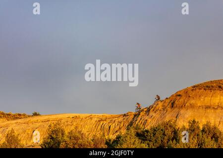 Mountain bike sul Maah Daah Hey Trail vicino Coal Creek nelle praterie nazionali del Little Missouri, North Dakota, USA. (SIG.) Foto Stock