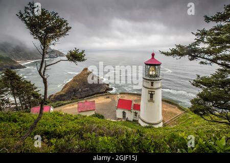 USA, Oregon. Faro di Heceta Head con vista sull'oceano. Foto Stock