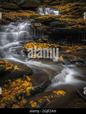 USA, Pennsylvania, Ricketts Glen state Park. Cascate cascata su rocce. Foto Stock