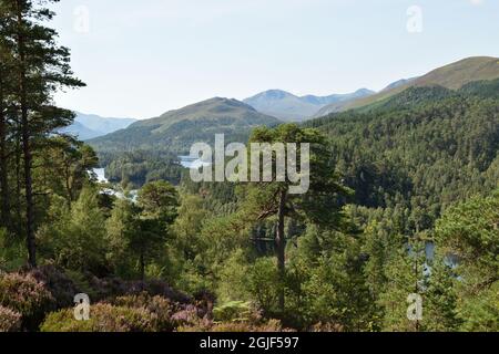 Glen Affric dal punto di vista sul modo Affric Kintail sopra Loch Beinn un Mheadhoin. Highlands, Scozia, Regno Unito. Foto Stock