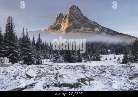 Neve fresca d'autunno sulla Liberty Bell Mountain e sui prati del Washington state Pass. Cascades del nord, stato di Washington Foto Stock