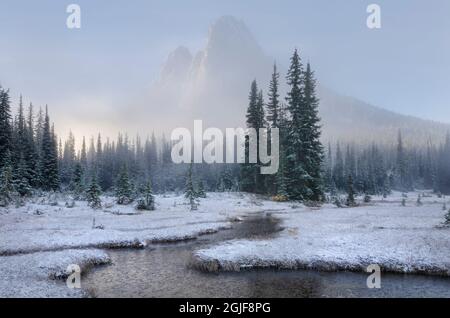 Neve fresca d'autunno sulla Liberty Bell Mountain e sui prati del Washington state Pass. Cascades del nord, stato di Washington Foto Stock