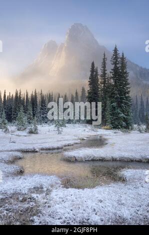 Neve fresca d'autunno sulla Liberty Bell Mountain e sui prati del Washington state Pass. Cascades del nord, stato di Washington Foto Stock