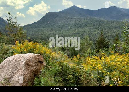 Fine estate nella White Mountain National Forest del New Hampshire. vista panoramica del Monte Osceola e campo di coloratissimo giallo fiorito goldenrod vista Foto Stock