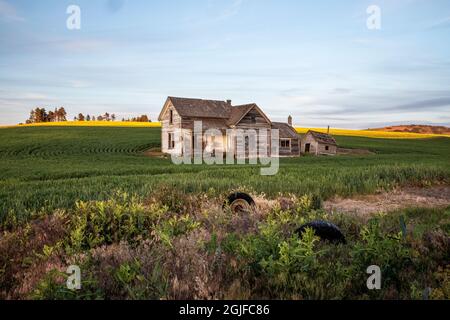 Stati Uniti, Washington state, Palouse. Casa abbandonata a Colton. Foto Stock