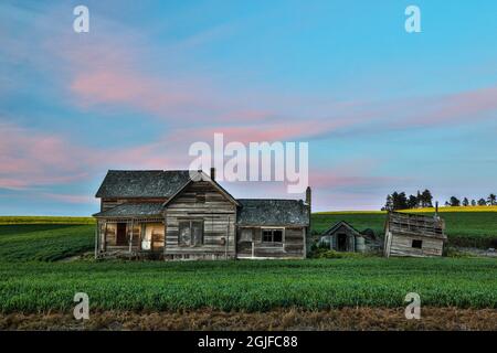 Stati Uniti, Washington state, Palouse. Casa abbandonata a Colton. Foto Stock