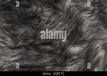 Primo piano di texture pelle peli sfondo grigio Foto Stock