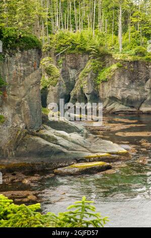 Riserva indiana di Makah vicino a Neah Bay, Washington, Stati Uniti. Vista dell'Oceano Pacifico da Cape Flattery Trail. Foto Stock