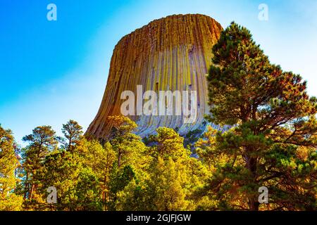 USA, Wyoming, Sundance, Devil's Tower National Monument, Devil's Tower Foto Stock