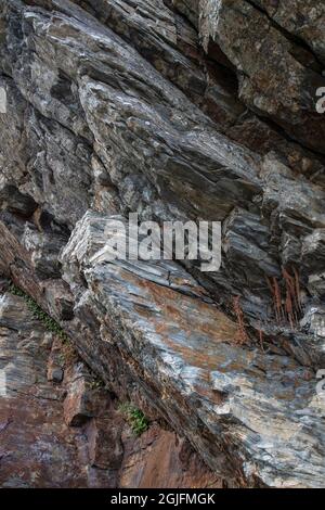 Un primo piano di un affioramento roccioso nel Galles del Nord con strati rocciosi chiaramente definiti all'interno del villaggio di stile italiano Portmerion a Gwynedd. Foto Stock