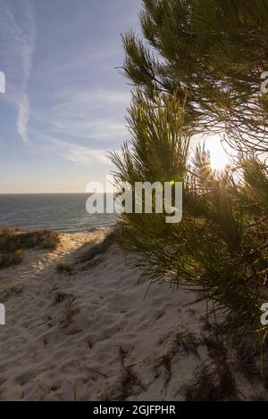 La costa più lunga della Spagna è la costa di Huelva. Da 'Matalascanas' a 'Ayamonte'. Costa con scogliere, dune, pini, vegetazione verde. IO Foto Stock