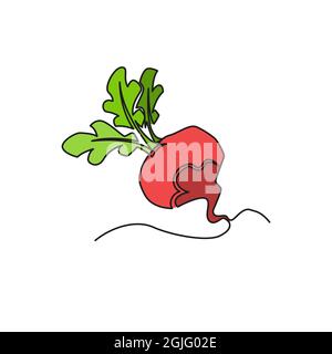 Una linea continua che disegna la barbabietola da verdura, isolata su sfondo bianco. Concetto di cibo sano. Illustrazione Vettoriale