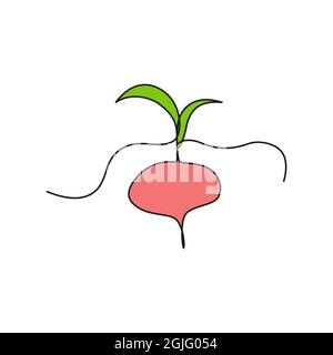 Una linea continua che disegna la barbabietola da verdura, isolata su sfondo bianco. Concetto di cibo sano. Illustrazione Vettoriale