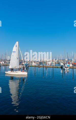 L'annuale Kiel Week o Kiel Regatta sul Mar Baltico è il più grande evento velico del mondo, Schleswig-Holstein, Mar Baltico, Germania settentrionale Foto Stock