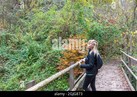 Donna caucasica di mezza età in piedi su un ponte che guarda il paesaggio di una foresta in autunno. Foto Stock