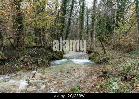 Piccolo fiume circondato da alberi in una foresta in autunno Foto Stock