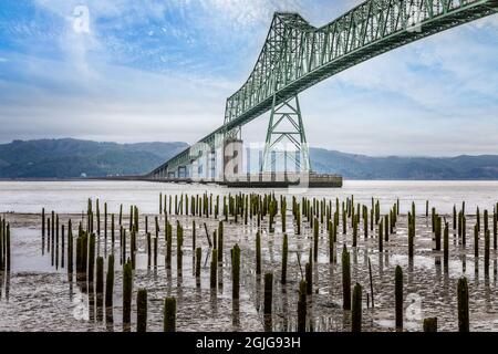 Vista dal livello del mare sull'Astoria Megler Bridge, Oregon Foto Stock