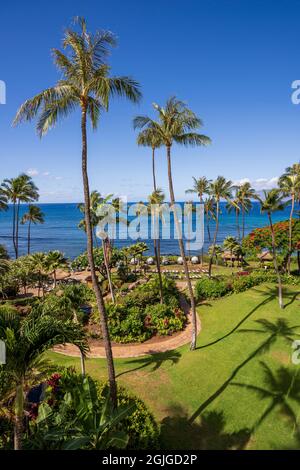 Affacciato sul blu cristallino dell'Oceano Pacifico e sulle torreggianti palme di Ka'anapali Beach, situato a Lahaina, Hawaii, sull'isola di Maui. Foto Stock