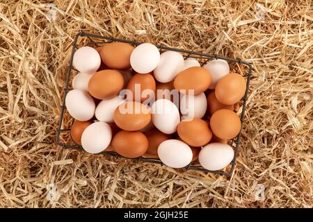 Un piccolo cestino di uova fresche di colore marrone e bianco che siede su uno strato di fieno in un fienile. L'immagine mostra la freschezza associata alla livella di paese Foto Stock