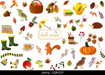Gli attributi autunnali sono foglie, bacche e funghi, un riccio, uno scoiattolo, un ombrello e abiti caldi. Illustrazione Vettoriale