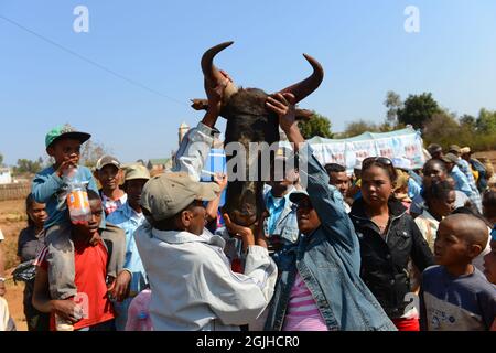 Ballando con i morti. Famadihana ( attivazione delle ossa ) cerimonia in Madagascar centrale. Foto Stock