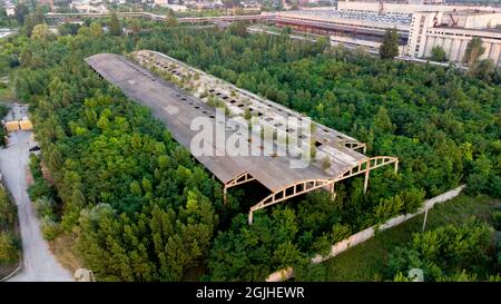 Volo aereo con vista dei droni sopra vecchi, distrutti, sovrasfatti di alberi Foto Stock