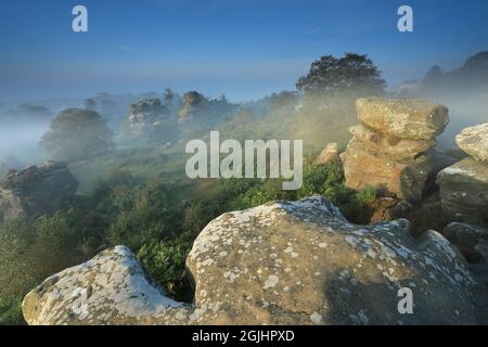 La nebbia dell'alba circonda le formazioni rocciose di Brimahm Rocks a Nidderdale, North Yorkshire, Regno Unito Foto Stock
