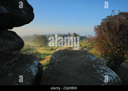 La nebbia del mattino presto circonda le formazioni rocciose di Brimham Rocks a Nidderdale, North Yorkshire, Regno Unito Foto Stock