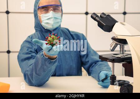 Medico con un modello di coronavirus in mano in un ufficio medico con un microscopio Foto Stock