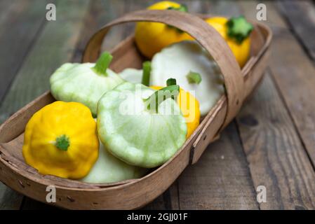 Un abbraccio Sussex pieno di pan di zucca bianca e gialla - White Bush Scallop e Yellow Bush Scallop. Foto Stock