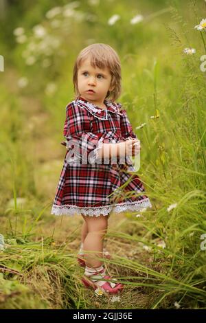 Una ragazza piccola sorpresa in un vestito di borgogna in plaid raccoglie i fiori di camomilla. Foto Stock