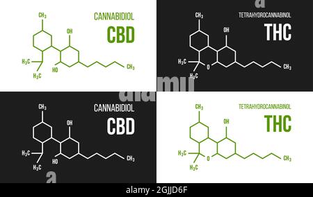 Set di illustrazioni della struttura molecolare THC e CBD. Cannabinolo e tetraidrocannabinolo formula di cannabis Illustrazione Vettoriale