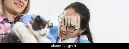 Veterinario medico esamina un gatto orecchie in clinica Foto Stock
