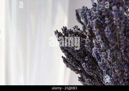 Lavanda asciutta in mazzi su sfondo bianco da vicino. Raccolta di fragranti fiori estivi. Preparazione pre-vendita. Il concetto di aromaterapia, cosmet Foto Stock