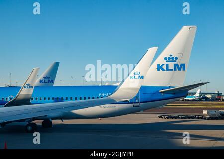 Amsterdam, Paesi Bassi - 17 luglio 2021: KLM Plains all'aeroporto di Schiphol. Foto Stock