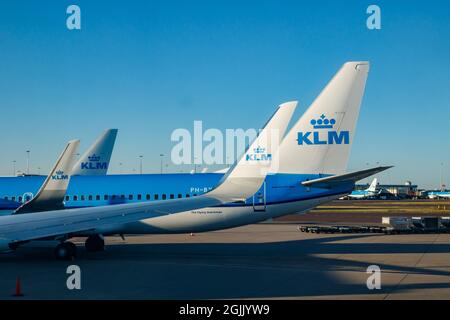 Amsterdam, Paesi Bassi - 17 luglio 2021: KLM Plains all'aeroporto di Schiphol. Foto Stock