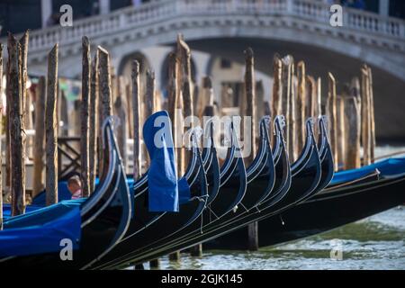 Gondole sul Canal Grande di Venezia. Il canale va dalla stazione ferroviaria di Santa Lucia alla laguna di San Marco. I turisti amano prendere le gondole. Foto Stock