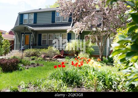 Bella e bella casa paesaggistica con un giardino di tulipani rossi e albero di frutta fiorito. St Paul Minnesota, Stati Uniti Foto Stock