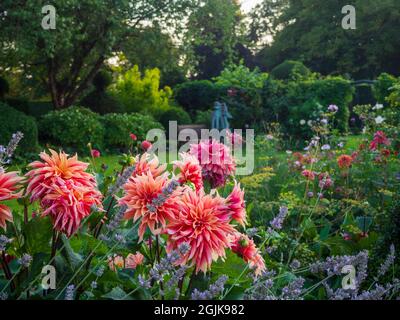 Dahlias a Chenies Manor, Buckinghamshire. Foto Stock