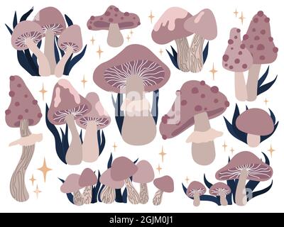 Collezione di funghi magici di colore esoterico. Amanita, foglie e stelle. Set di witchcraft vettoriale Illustrazione Vettoriale