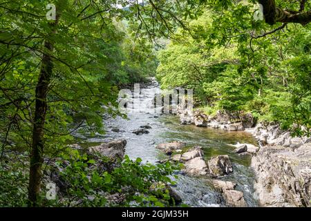 Fiume Garbh Uisge a nord ovest di Callander, Stirling, Scozia Foto Stock