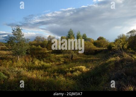 Paesaggio autunnale. Un piccolo burrone coltivato con alberi e arbusti, coperto di sbiadimento, cambiando colore erba nella calda luce del tramonto. Foto Stock